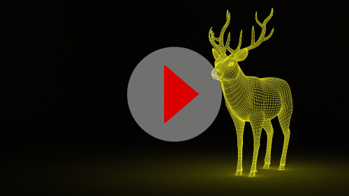 Christmas Electro Deer