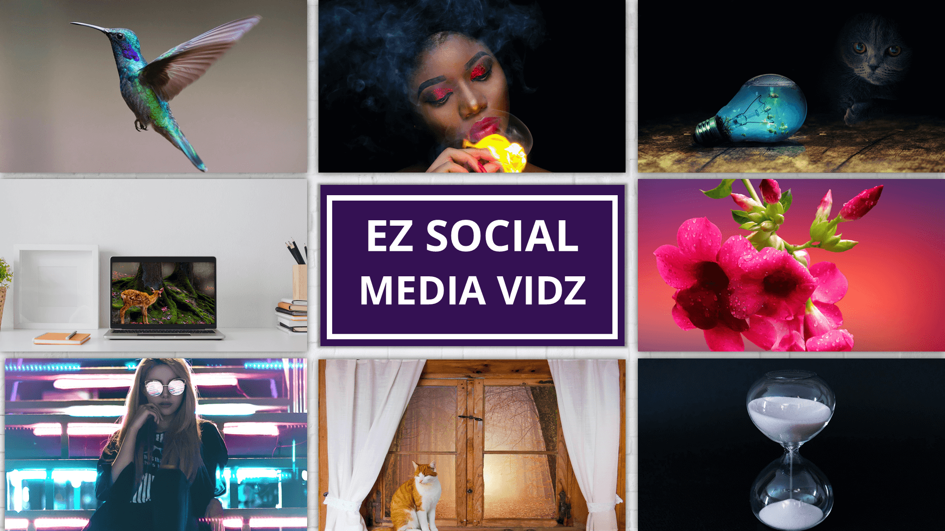 EZ_SocialMedia_Vids_Display7