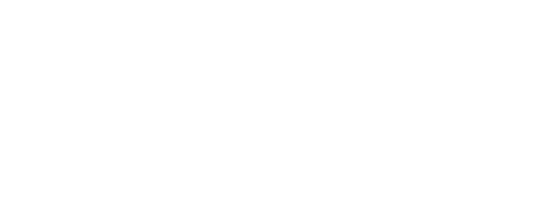 ezsmv_logo