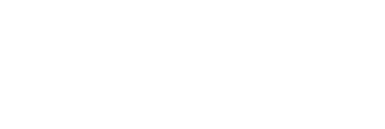 EZVS_logo