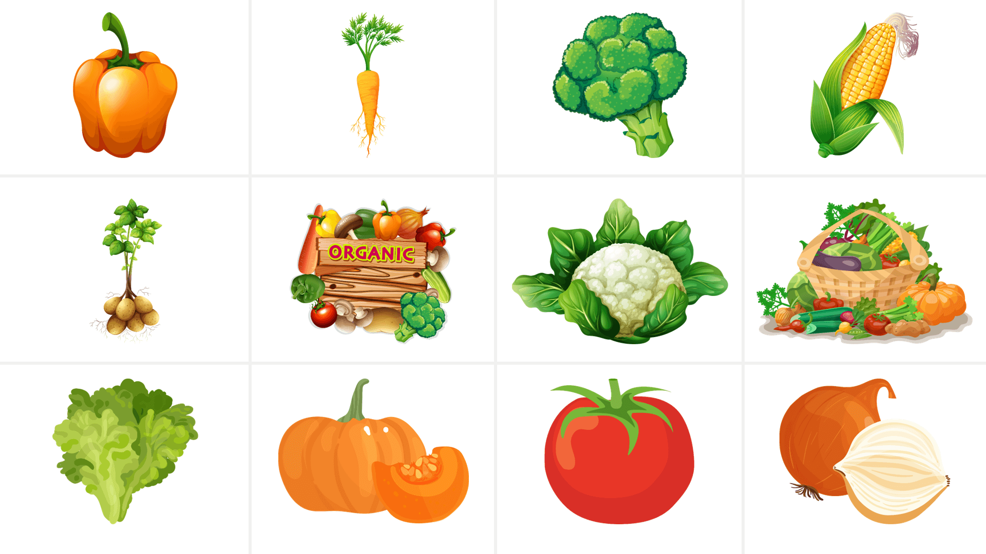 Food-vectors_6